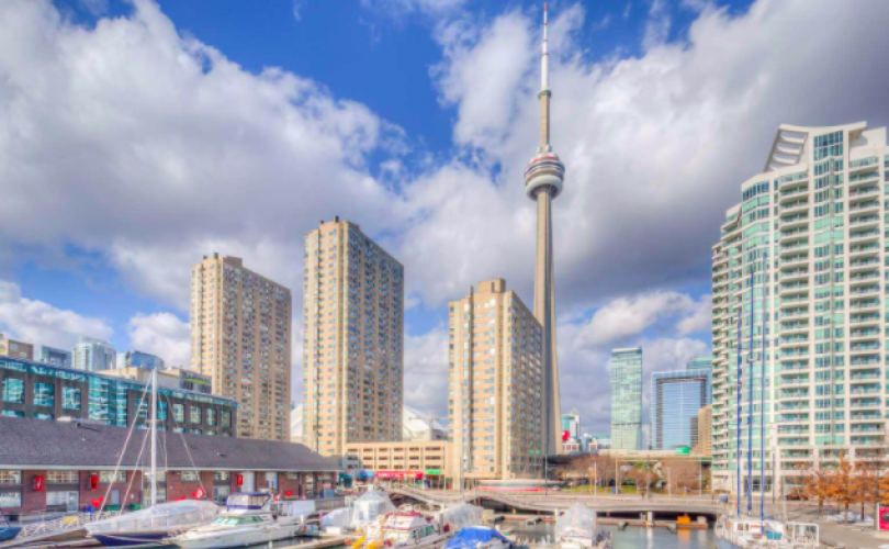 1 Bedroom Bedrooms, ,1 BathroomBathrooms,Condo,For Rent,1103